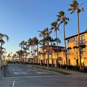 Meet your Posher, Morgan